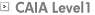 CAIA Level1