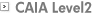 CAIA Level2