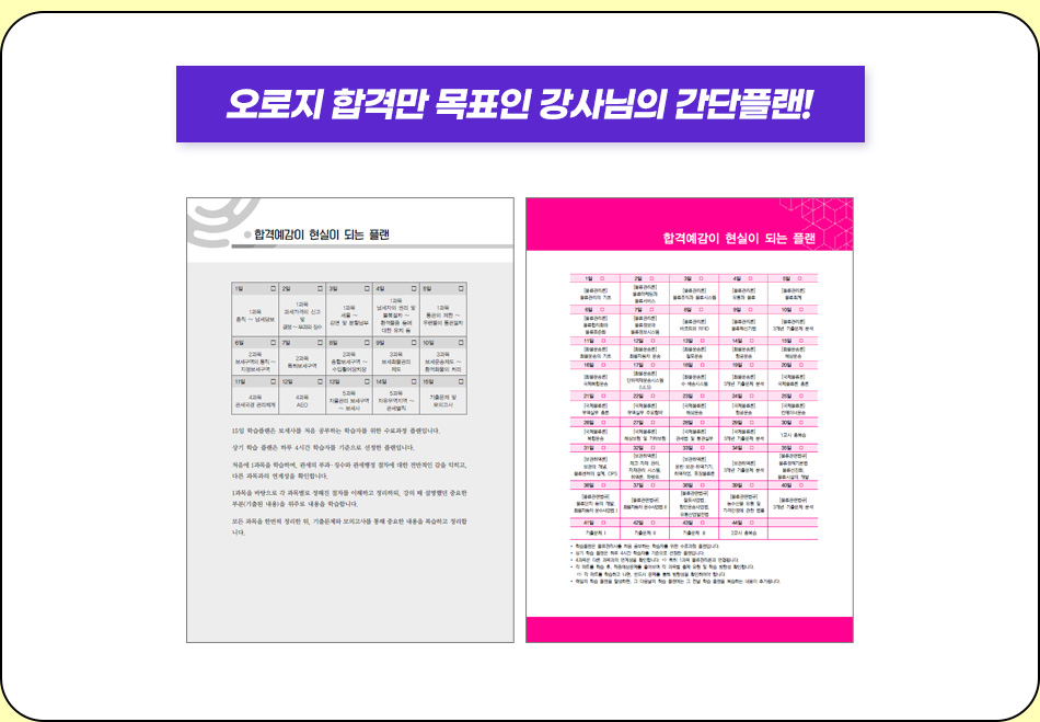 데일리 학습플랜 제공