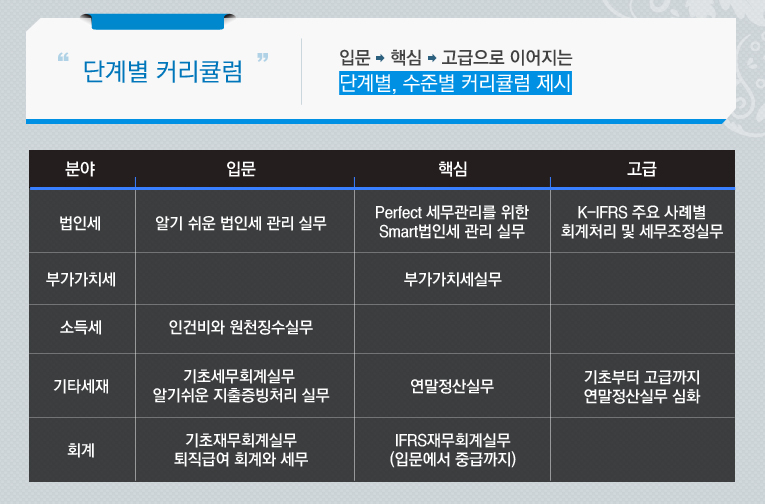 단계별 커리큘럼