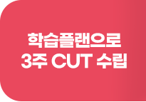 학습플랜으로 3주 CUT 수립