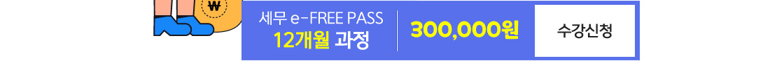 세무회계 E-FREE PASS-12개월