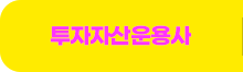 투자자산운용사