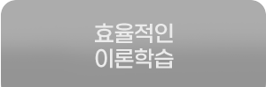 효율적인 이론학습